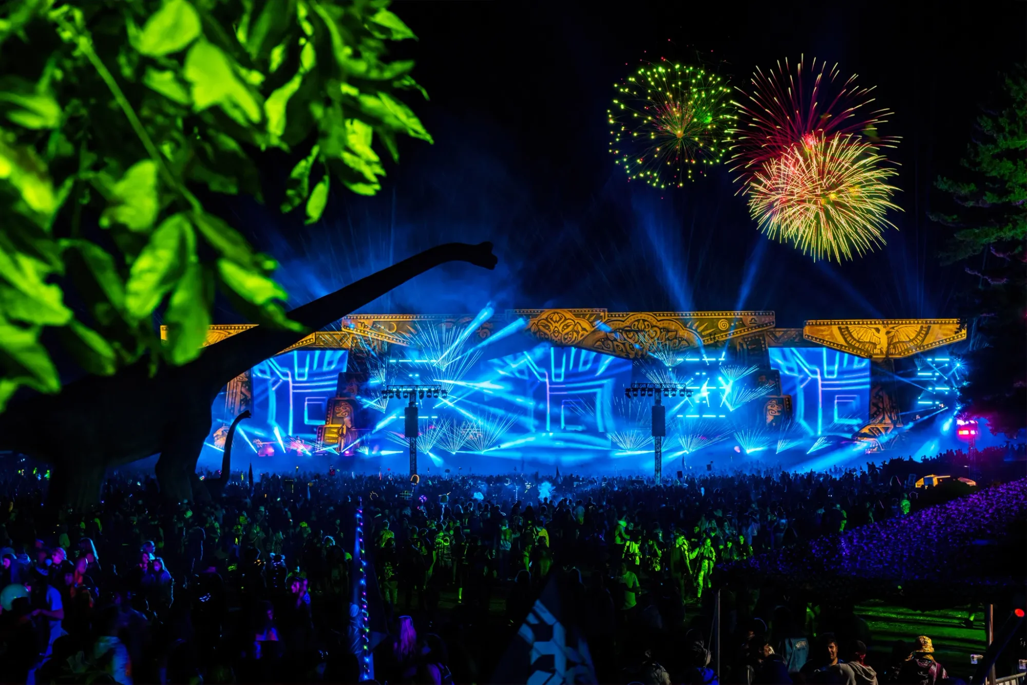 Colee.one — Lost Lands 2021 photography, image 349 of 359